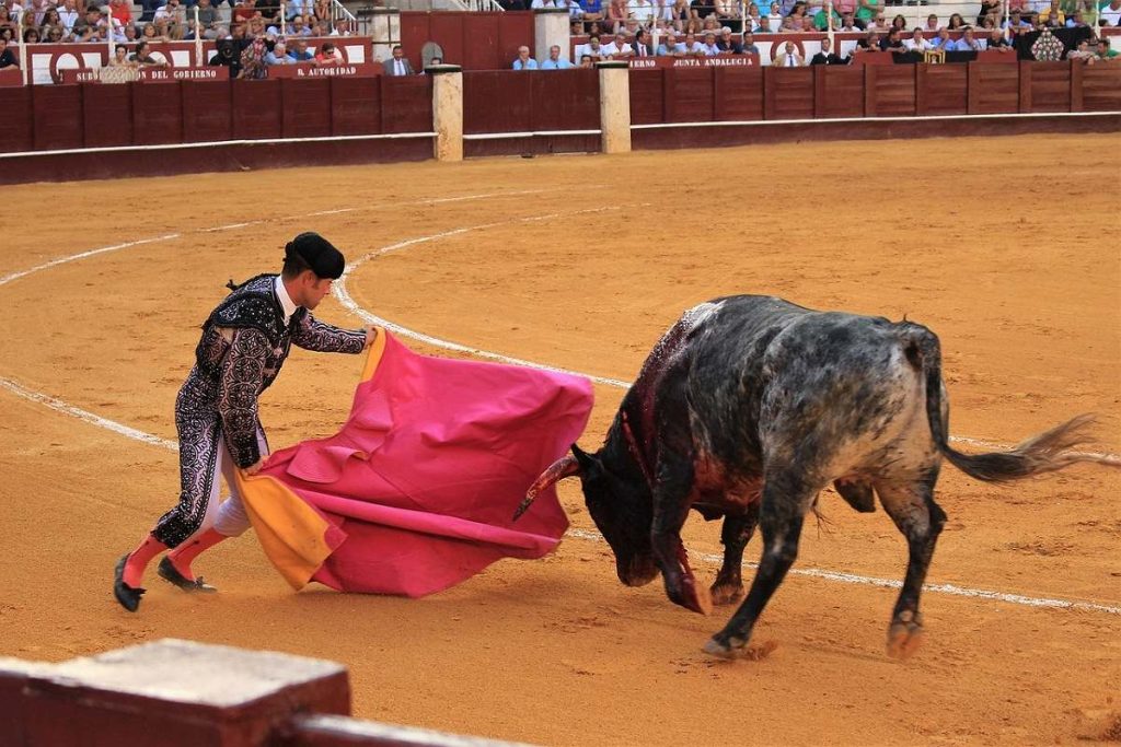 BullFighting