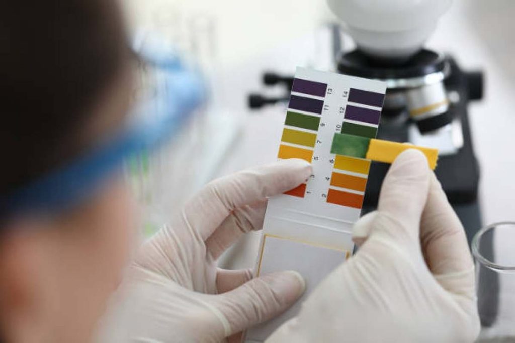 Litmus Paper