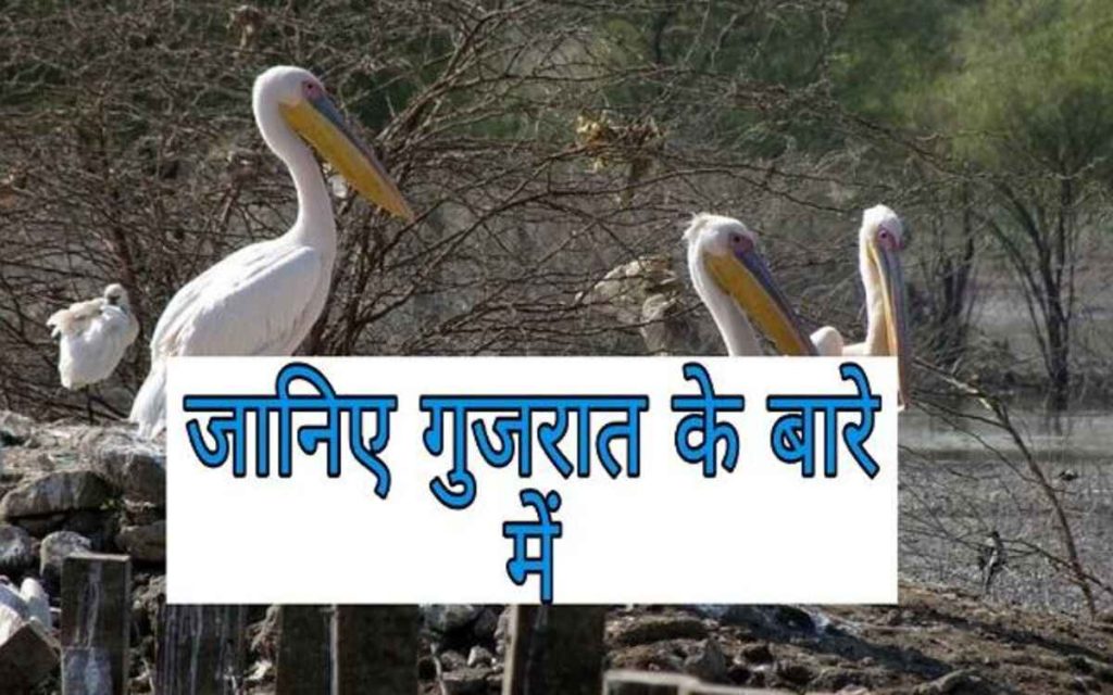 about gujrat 1