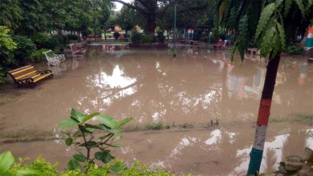 बैरागढ़ में उद्यानों का रखरखाव बंद, गिदवानी पार्क में जलभराव, लोगों ने जाना बंद किया, हरियाली भी उजड़ रही है