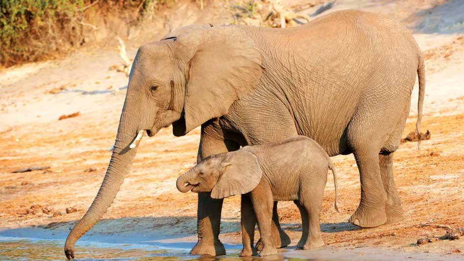 13A 24