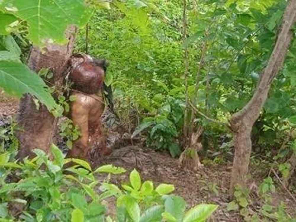 Chhattisgarh 03 2 10