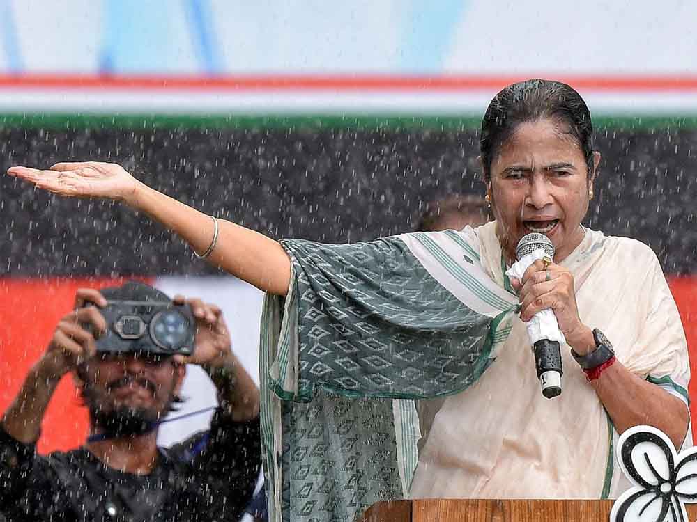 mamta 2