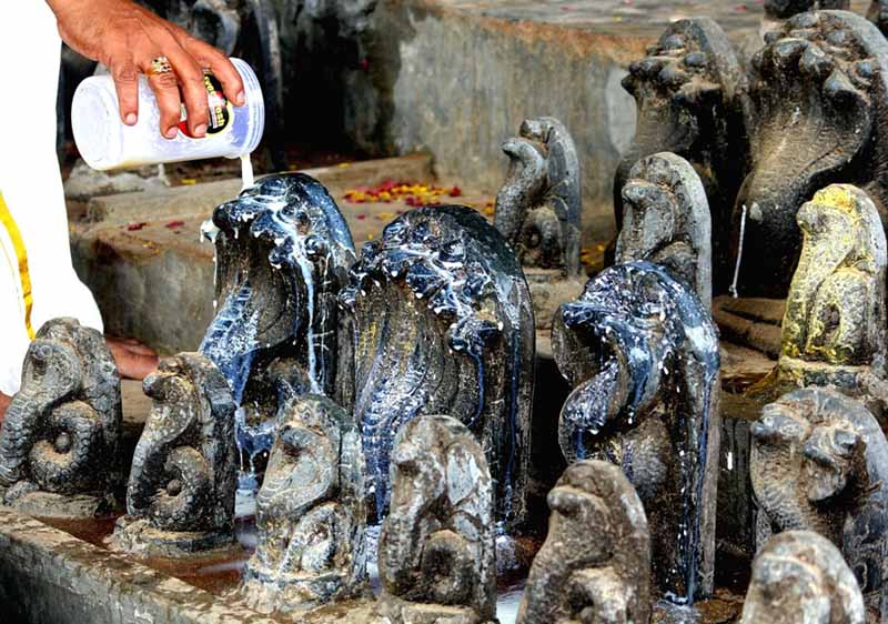 nagpanchmi