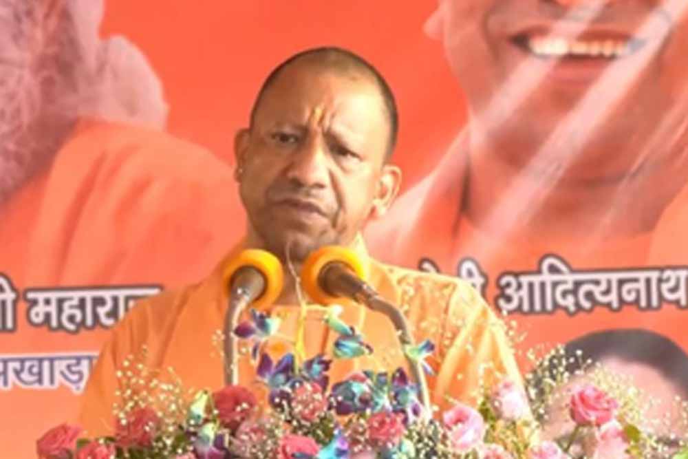 yogi01 1