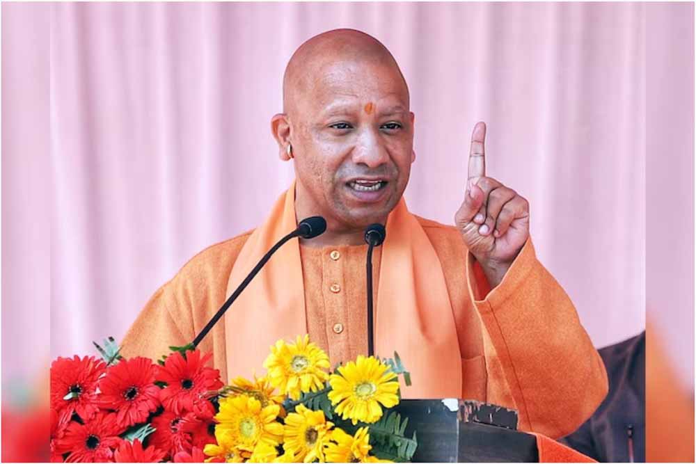 yogi1 3