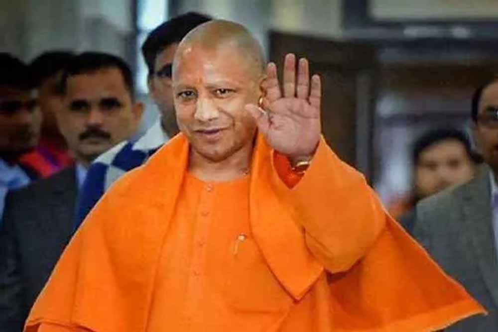 yogi1 4