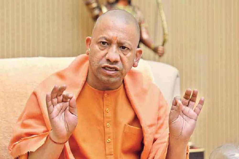 yogi1 5