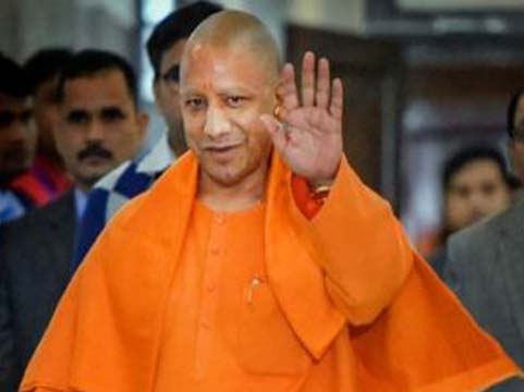yogi 100