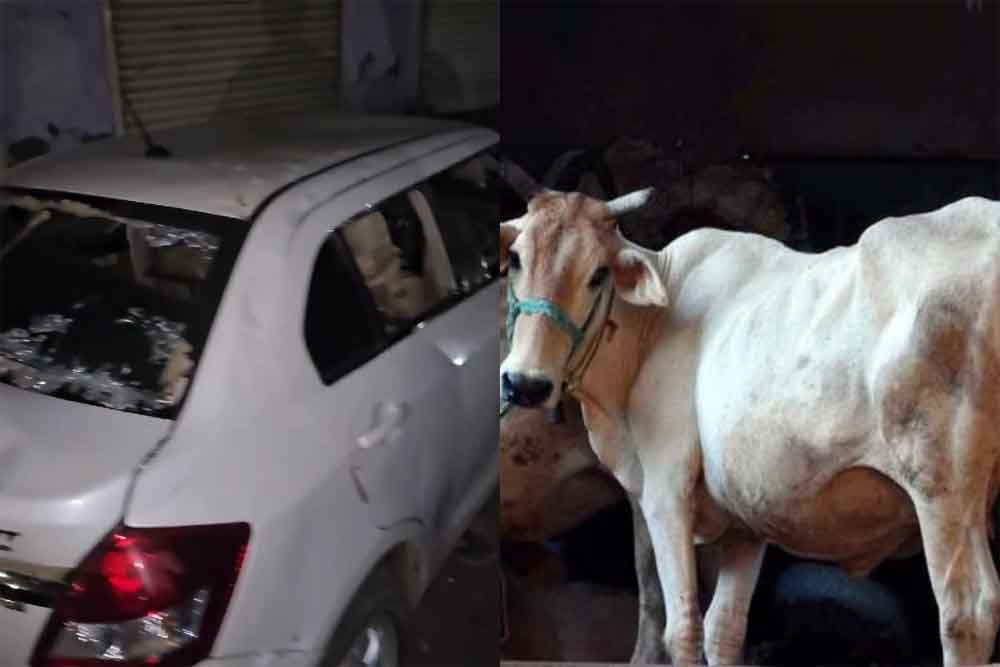 राजस्थान-भरतपुर में पुलिस से बचकर भागने में लोहे के एंगलों से टकराई गौ तस्करों की कार 1 Rajasthan 04 2 2