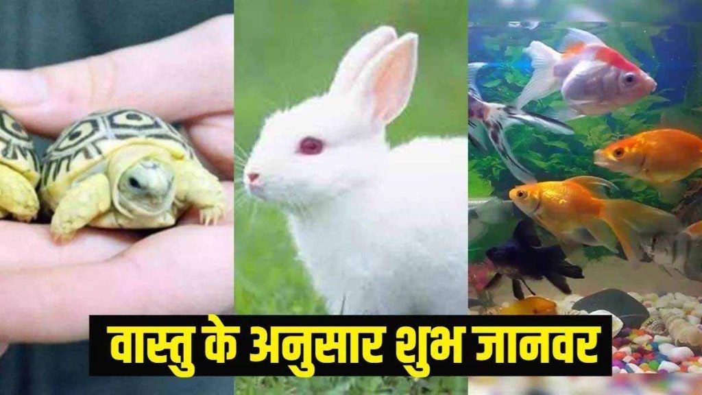 वास्तु शास्त्र में कई जानवर माने गए हैं शुभ