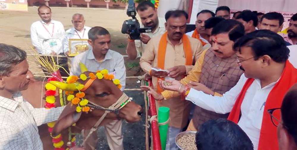 मुख्यमंत्री डॉ. यादव ने महेश्वर की गौ-शाला में किया गौ-पूजन 1 12A 1028
