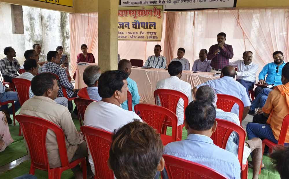 सड़कों पर अब कम दिखाई देते हैं जानवर, दुर्घटना में आई कमी 1 1A 113 1