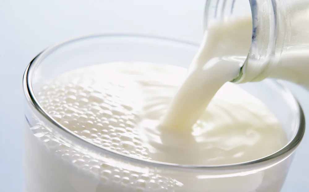 उज्जैन में प्रदेश का पहला डेयरी टेक्नोलॉजी कॉलेज के प्रस्ताव का सर्व-सम्मति से अनुमोदन 1 1A 5