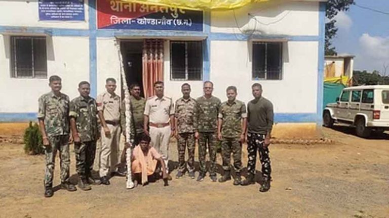 छत्तीसगढ़-कोण्डागांव में मक्के की आड़ में गांजे की खेती करते आरोपी गिरफ्तार