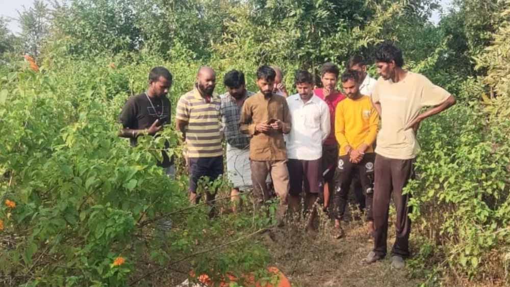 उमरिया जिले में हाथियों का तांडव, दो की मौत 1 eli1