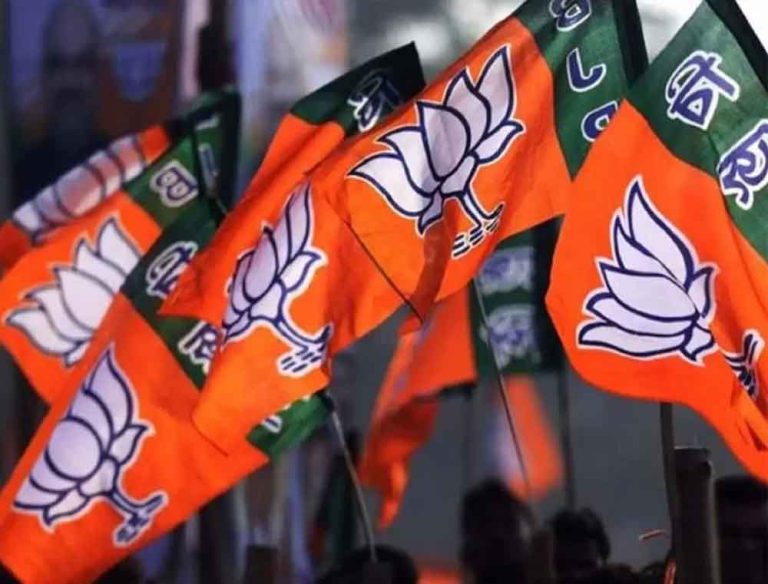 छत्तीसगढ़-रायपुर में भाजपा जिला संगठन चुनाव कार्यशाला में 20 मंडलों की घोषणा