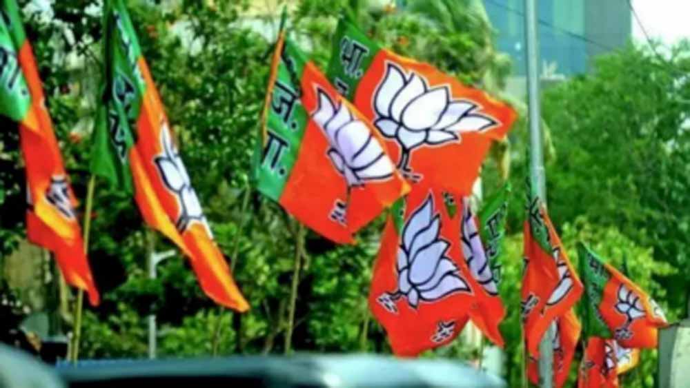 भाजपा नेता ताबिश असगर पर लव जिहाद करने का आरोप लगा था, अब भाजपा ने 6 मुस्लिम नेताओं को पार्टी से निकाला 1 bjp1 3