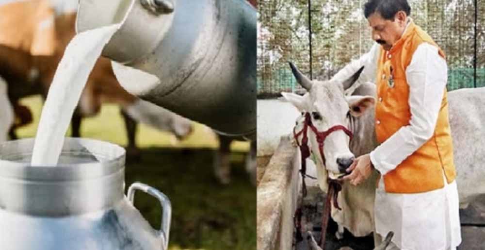 प्रदेश में गौ-संरक्षण और संवर्धन के नाम रहा वर्ष 2024, दुग्ध और दुग्ध उत्पादों से किसानों को मिल रहा है अच्छा मुनाफा 1 dugdh