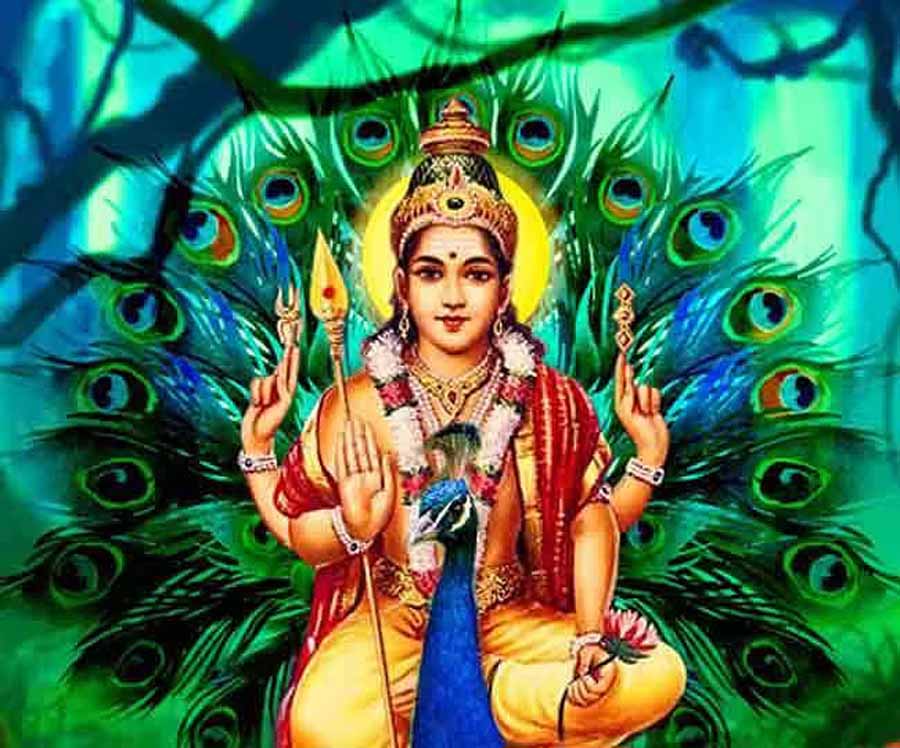 भगवान कार्तिकेय को समर्पित स्कंद षष्ठी के दिन इस शुभ मुहूर्त में करें पूजा 1 1 1012