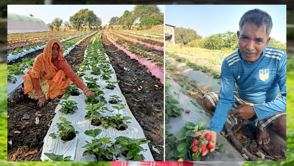 किसान कल्याण तथा कृषि विकास विभाग द्वारा किसानों को समृद्ध बनाने के लिये कृषि उत्पादकता को बढ़ावा दिया जा रहा 1 29A 105