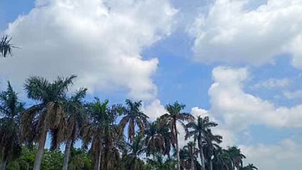 छत्तीसगढ़-रात का पारा चार डिग्री गिर फिर लौटेगी सर्दी 1 Cg 01 3 20