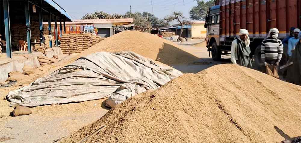 छत्तीसगढ़-बीजापुर में धान की ज्यादा खरीदी लेकिन उठान नहीं होने पर छह जनवरी से खरीद पर लगेगी रोक 1 Cg 07 2