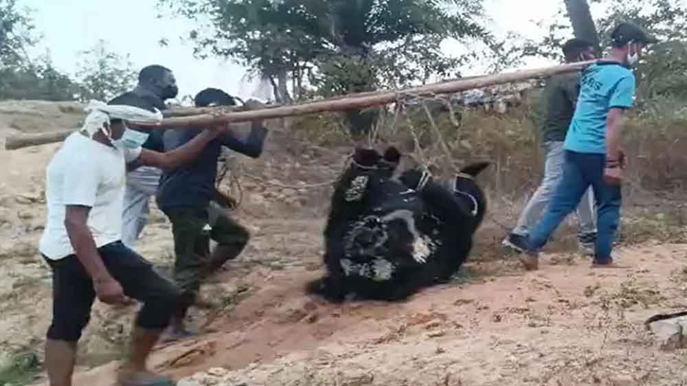 छत्तीसगढ़-कांकेर में पिता-पुत्र को मौत के घाट उतारने वाले भालू का मिला शव 1 Cg 10 2 18