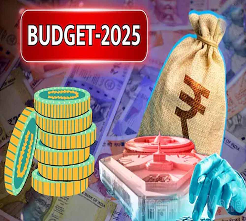 बजट 2025 पेश होने का वक्त धीरे-धीरे नजदीक आता जा रहा है, इस बीच, कई चीजों को लेकर अटकलें भी हुई तेज 1 buzat1