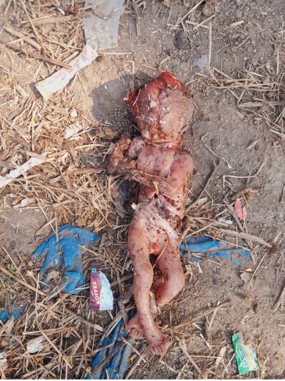 लावारिस नवजात शिशु मिलने से ग्राम एवं क्षेत्र में मचा हड़कंप 1 lavarish