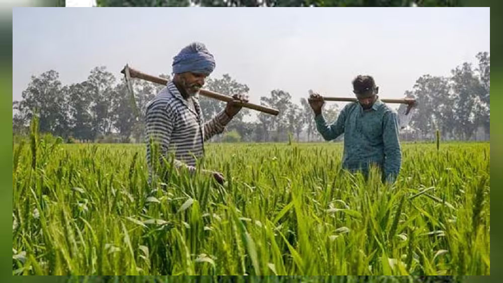 मुख्यमंत्री डॉ. मोहन यादव के नेतृत्व में राज्य सरकार किसानों के कल्याण एवं समस्याओं के निराकरण के लिये प्रतिबद्ध 1 5A 113