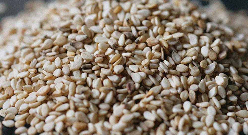 हड्डियों को मजबूत बनाए रखने के लिए डाइट में शामिल करें सफेद तिल 1 1 812