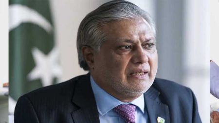 विदेश मंत्री डार ने दक्षिण एशिया में शांति का एकमात्र रास्ता कश्मीर समस्या का समाधान बताया