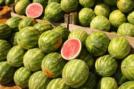 जब सड़क पर बरसने लगे तरबूज, किसानों ने सरेआम उतारे कपड़े