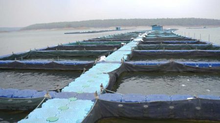 छत्तीसगढ़ के कोरबा जिले में बनेगा राज्य का पहला एक्वा पार्क