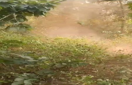 सारंडा जंगल क्षेत्र में नक्सल विरोधी अभियान में आईईडी विस्फोट, एक जवान गंभीर रूप से घायल