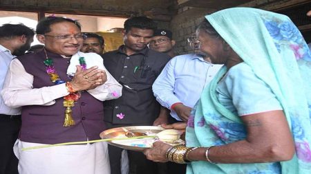 शासकीय योजना से मिले लाभों जानकारी लेने पीएमएवाई की लाभार्थी सोनाई बाई के घर पहुंचे सीएम साय
