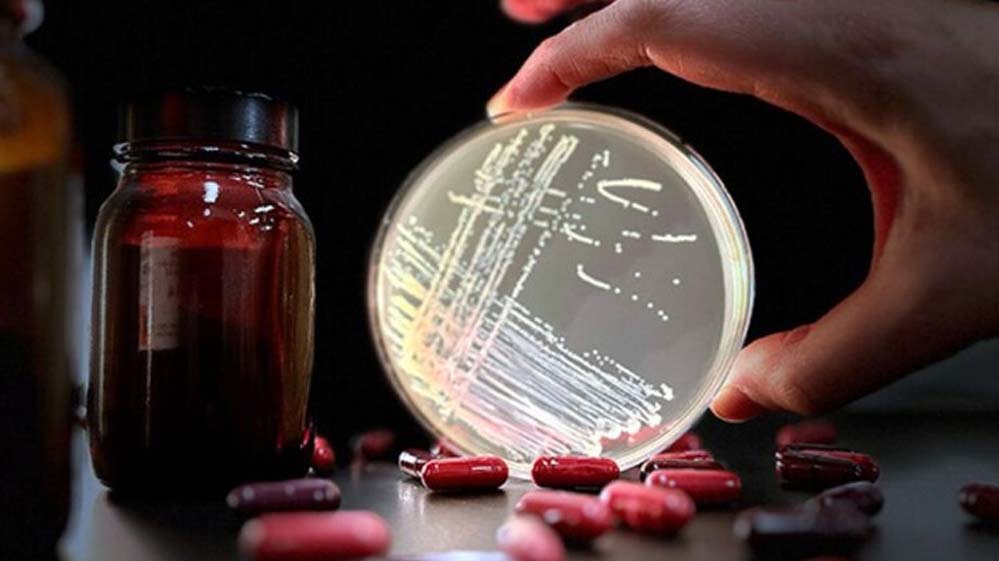 आवश्यकता से अधिक एंटीबायोटिक्स लेने से बढ़ रहे लाइलाज ‘सुपरबग’ के मामले 1 27A 149