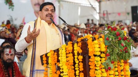 सामाजिक समरसता का महाकुंभ मुख्यमंत्री कन्यादान विवाह समारोह : पूर्व मंत्री गोपाल भार्गव