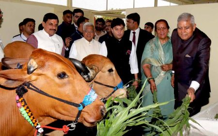उप राष्ट्रपति श्री धनखड़ ने मध्यप्रदेश में गौ-संरक्षण के क्षेत्र में हो रहे प्रयासों को सराहा