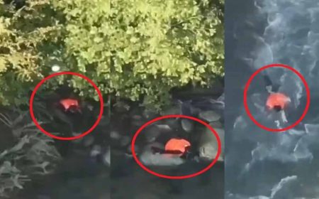 दहशतगर्द को खाना और ठिकाना देने का लगा था आरोप, शख्स ने नदी में कूदकर दे दी जान