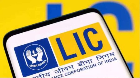 शेयर बाजार में ₹47000 करोड़ का निवेश, जानिए RIL, हीरो, टाटा