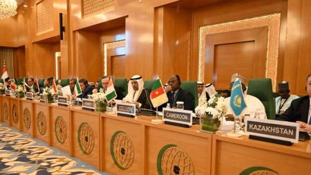 OIC ने कहा भारत द्वारा पाकिस्तान पर लगाए जा रहे बेबुनियाद आरोप दक्षिण एशिया में तनाव को बढ़ा रहे