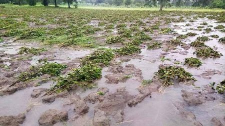 समुद्री हवाओं के टकराने से कानपुर में आंधी-तूफान, किसानों को मिलेगा जोताई का मौका