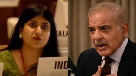 विश्व स्वाथ्य संगठन के मंच से भी भारत ने पाकिस्तान की लगा दी क्लास, WHO में PAK कर रहा था चालाकी
