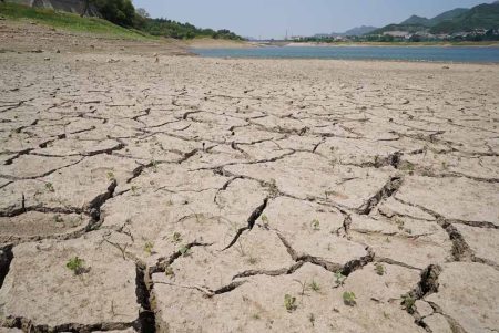 अब चुल्लू में डूबने को भी नहीं है पानी, प्यासे मरने की नौबत, खानपुर डैम में मात्र 35 दिन का बचा पानी