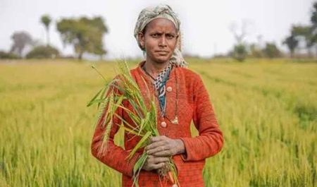 पीएम मोदी की अध्यक्षता में कैबिनेट ने वित्त वर्ष 2025-26 के लिए किसानों के ऋणों पर ब्याज सब्सिडी को मंजूरी दी
