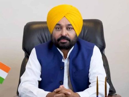 पंजाब सरकार की नई योजना! पराली का उपयोग करने वाले उद्योगों को 5 करोड़ रुपये तक की सब्सिडी