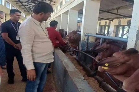 बाबा साहब अंबेडकर गौ संवर्धन योजना से डेयरी को मिलेगा नया आयाम