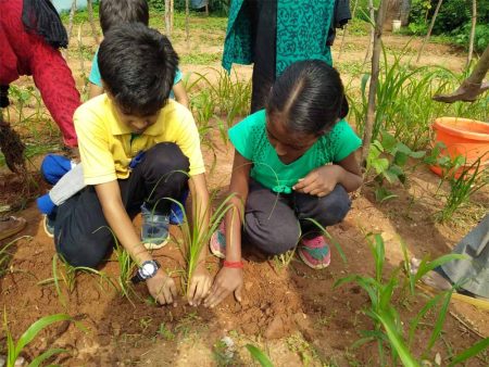 प्रदेश में 15 हजार ईको क्लब गठित, प्रति विद्यालय पर्यावरण की दृष्टि से 35 पौधों का रोपण